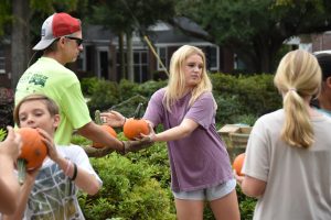 pumpkin unload